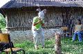DSC01110